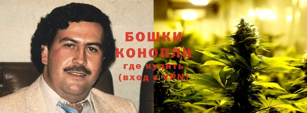 каннабис Белокуриха