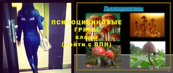 каннабис Белокуриха