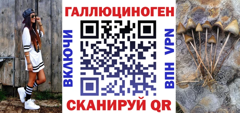 Псилоцибиновые грибы Cubensis  Реутов 